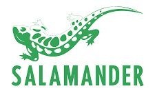 Salamander
